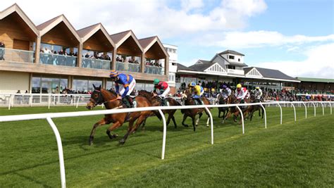 catterick racing results|catterick race card today.